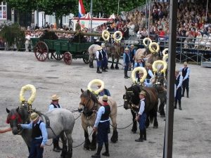 Paardenparade Heiligdomsvaart